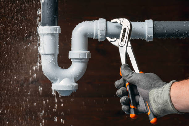 Professional Plumbing technician working in Tamms, IL